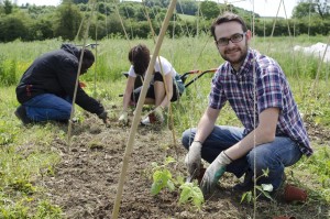 SSE Fellow Ciaran Biggins plants vegetables at his social enterprise Mind Food