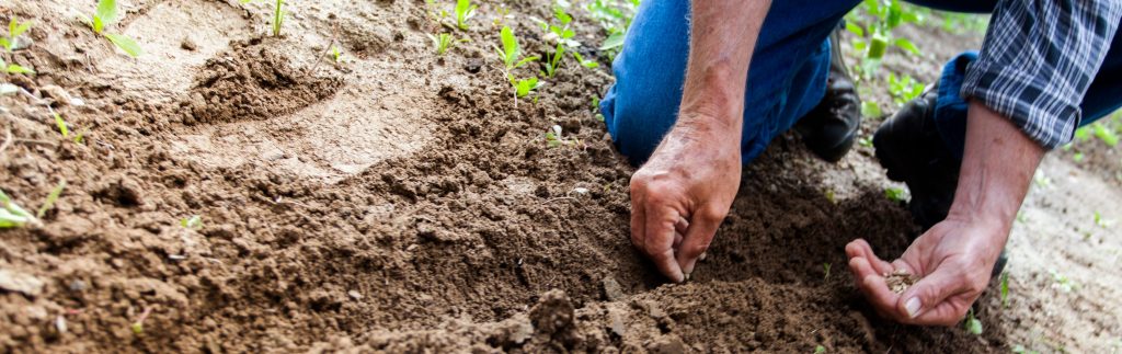 close up of a mans hands gardening