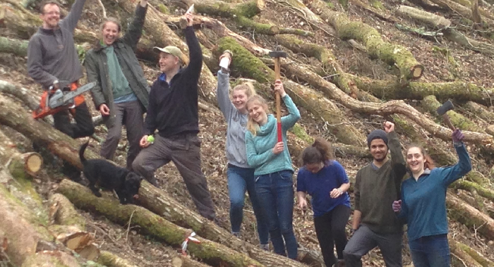 A group of people in the forest, all raising their hands and axes ready to chop wood