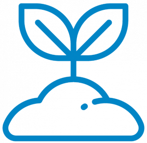 growing seedling icon